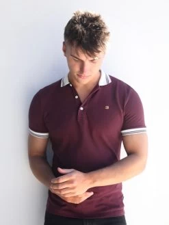 Dalston Polo - Burgundy 11 Dalston Polo - Burgundy -Trend Wear Sales 2634Burgundy 02D 02bb909f 4d61 4788 abde b9a485e98e1c